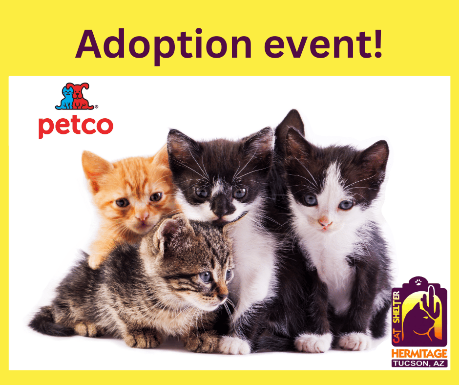 adoption event, petco