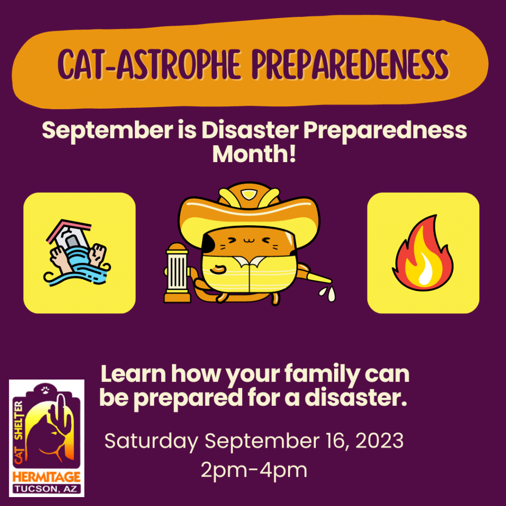Catastrophe Preparedness - IN PROGRESS