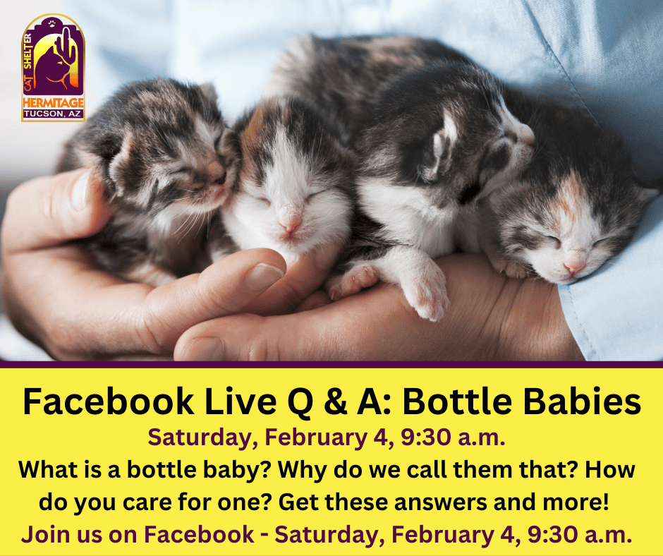 Facebook Live Bottle Babies