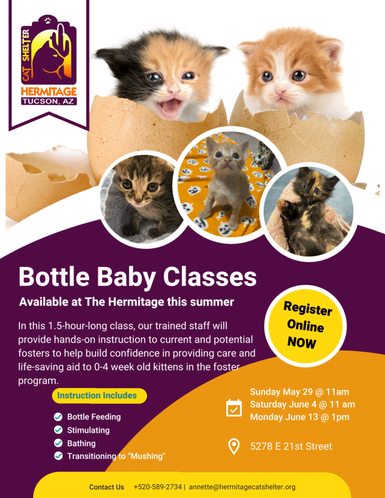June Bottle Baby Classes-2