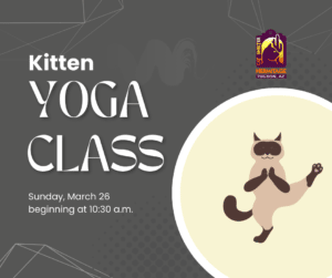 Yoga kittens march