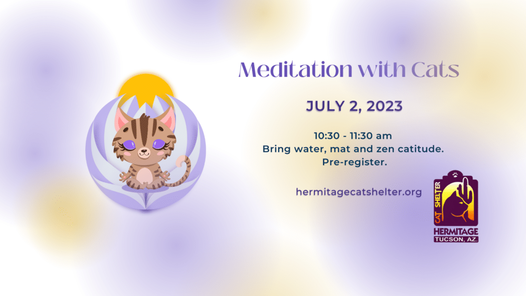 Meditation with Cats July FB Cover (1)
