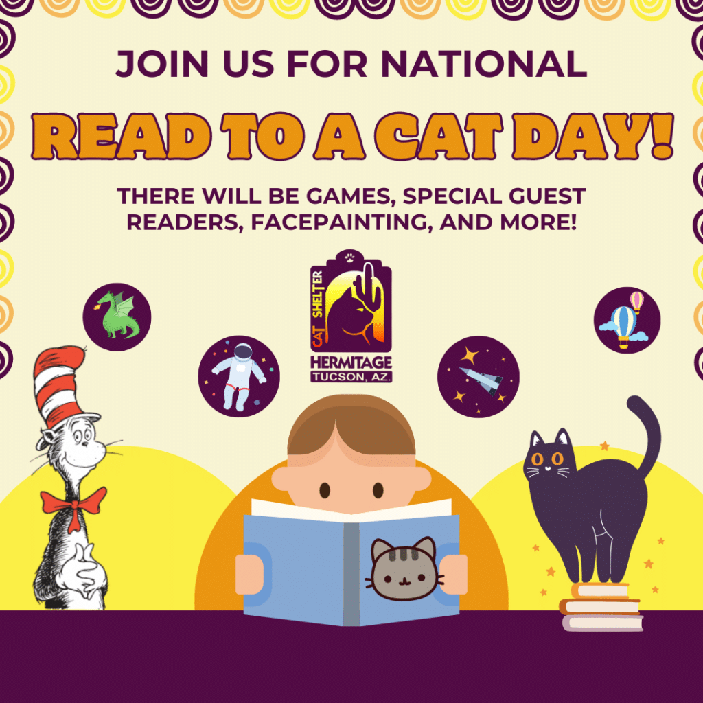 National Read to a Cat Day 2024 (ig sq)