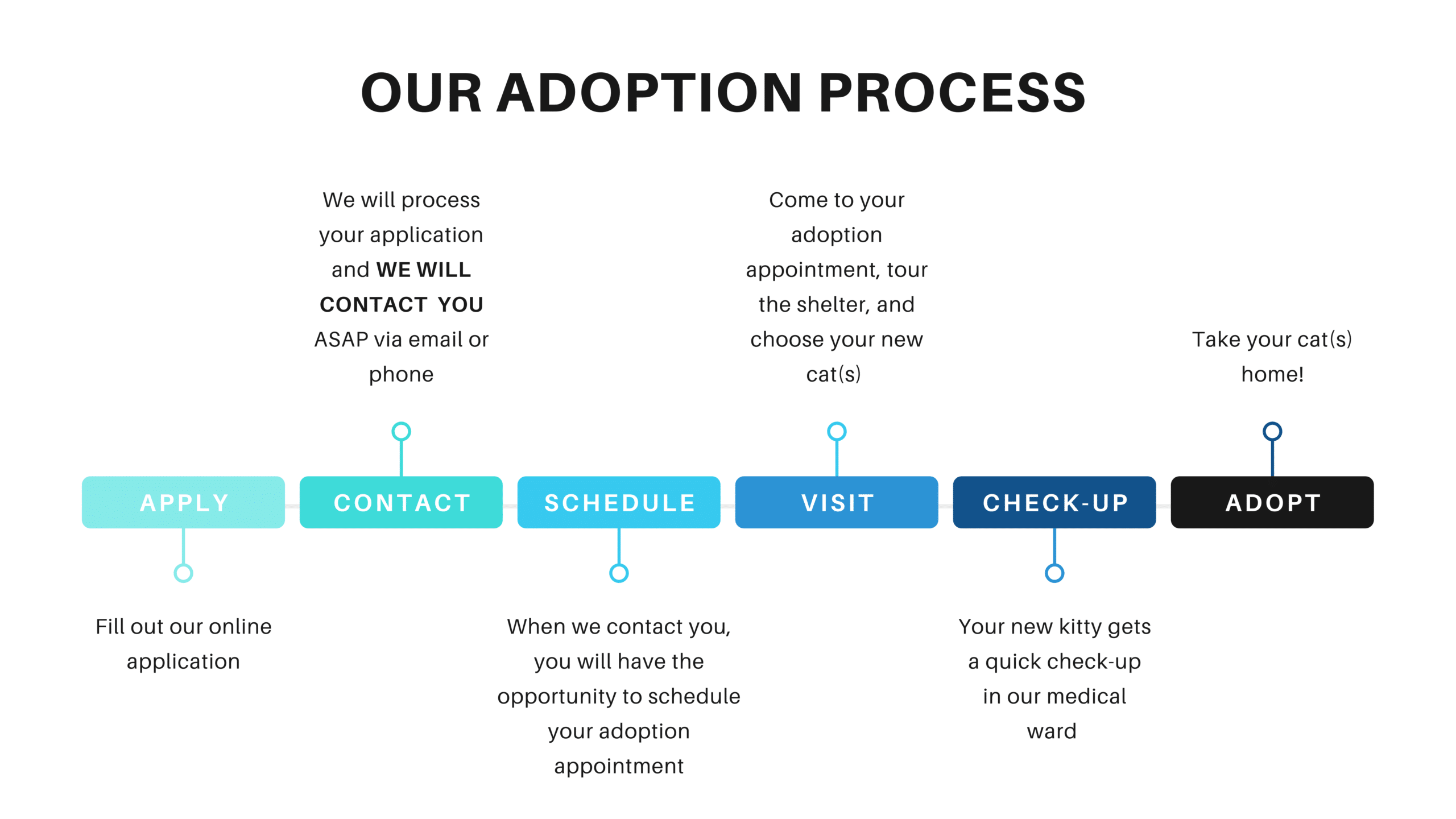 adoption process