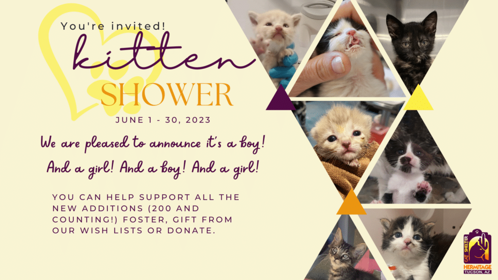 kitten shower Fb Cover
