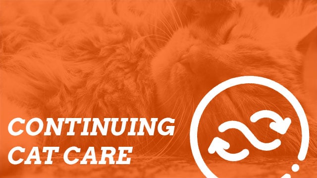 legacy_continuing-cat-care
